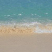 Mario Iacoviello's photo