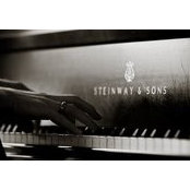 Collin Stoddard's photo