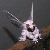 Michael Kranich's photo