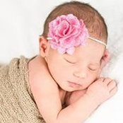 Nicole DePaolo-Masi's photo
