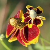 Michelle Miller's photo