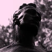 Cameron North's photo