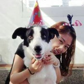 Jing Jin's photo