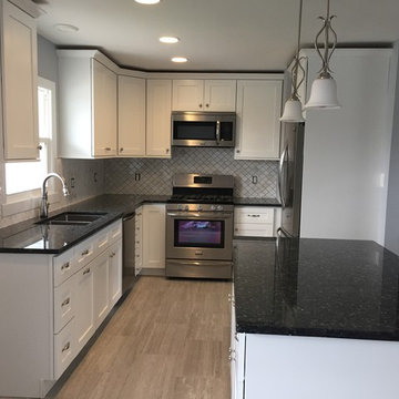 New Kitchen in Western Springs