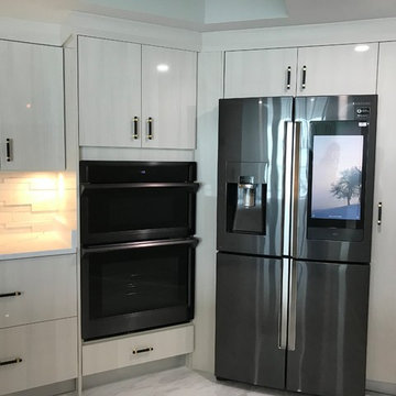 Contempo KItchen Remodel