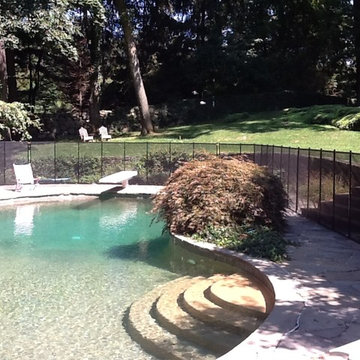 Baby-Loc Removable Pool Fence