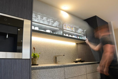 Inspiration for a modern kitchen remodel in Other