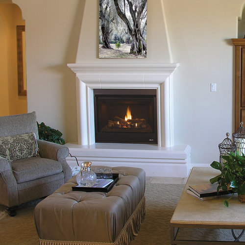 Traditional Gas Fireplace Houzz