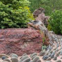 Rock Gardens