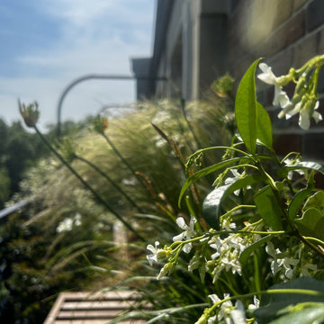 Aménagement paysager d'un balcon filant à Paris...
