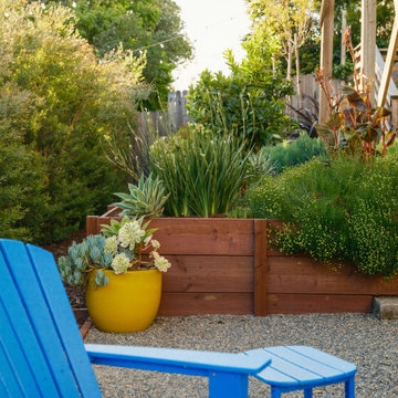 Explosive Color & Whimsical Plants