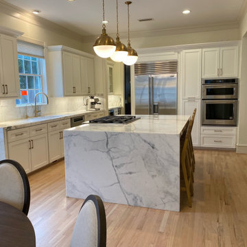 Contemporary West U Kitchen Remodel