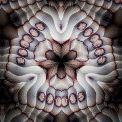 Plywood texture patterns - Fine Art Prints
