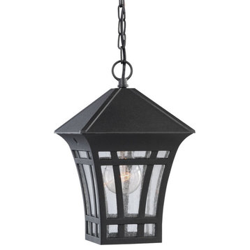 One Light Outdoor Pendant-Black Finish-Incandescent Lamping Type - Outdoor