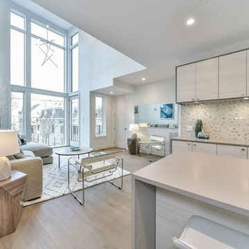 Jamaica Plain, Modern Townhome
