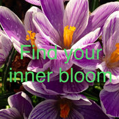 Mindy Bindy's photo