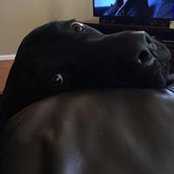 Kyle Marier's photo