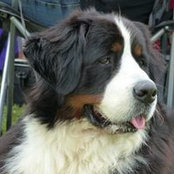 Michelle Farrell's photo