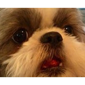 Kathy Weltman's photo