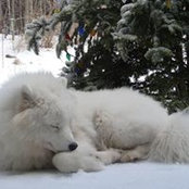 Jeanne Raymond's photo