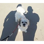 Maria Aramburo-Rankin's photo