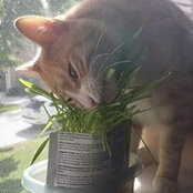 Kathy Hoover's photo