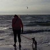 Sarah Harrington's photo