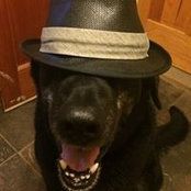 Beth Wermuth-Nichols's photo