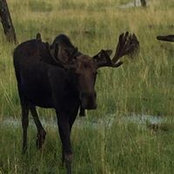 Stephen Seeley's photo