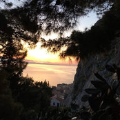 luise wiedemann's photo