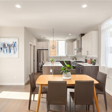Capitol Hill- #1461A