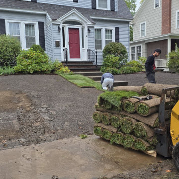 Sod Installation Albany Near Me Lawn Replacement Landscaping Services Yard Prepa