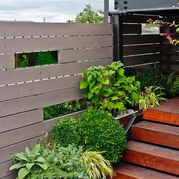 Rooftop Garden III