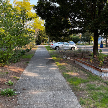 Seattle Parking Strip