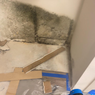 Apartment Mold Mitigation and Rebuild