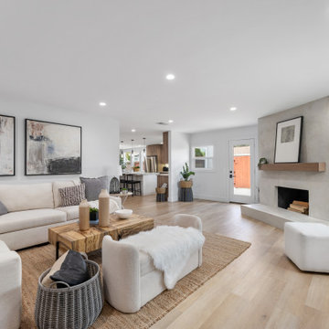 Living Room Remodel