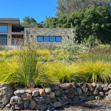 Contemporary Aptos Custom Home