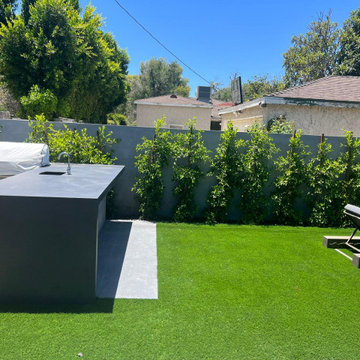 complete back yard renovation