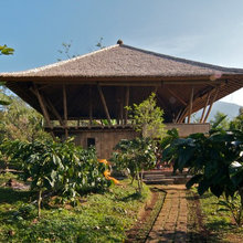 bamboo