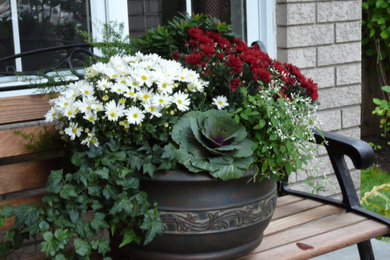 Inspiration for a partial sun garden for fall in Ottawa.