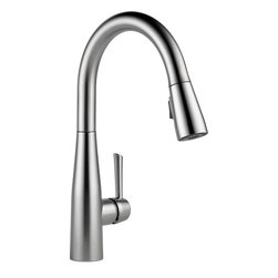 Delta Essa&reg; Single Handle Pull-down Kitchen Faucet - Kitchen Faucets
