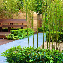 Landscape Ideas