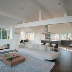 Spark Modern Fires - Indoor Fireplaces