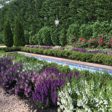 Annual Planting