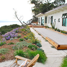 Exterior color