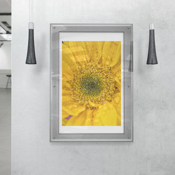Joyful Color Nature Flower Floral Photograph Wall Art Print