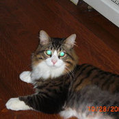 Amie Schopf's photo