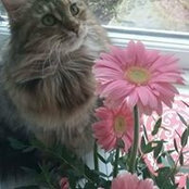 Dawn Robertson's photo