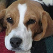Kathy Prahl's photo