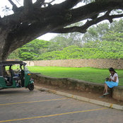 Maria Jose's photo